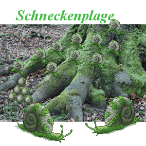 Schneckenplage Family Crest