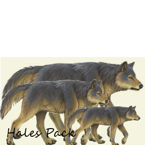Hales Pack Family Crest