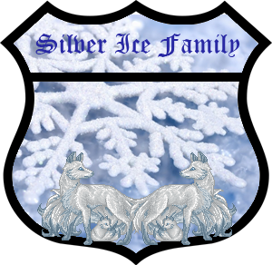 Silver Ice Family Crest