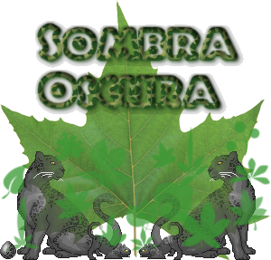 Sombra Oscura Family Crest