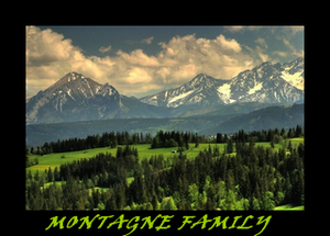 Montagne Family Crest