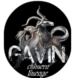 Gavin Family Crest