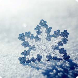 Snowflake Rose Family Crest