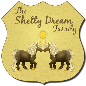 Shetty Dream Family Crest