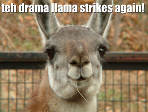 of Drama Llamas Family Crest