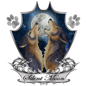 Silent Moon Family Crest