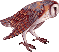 Usurper Owlette